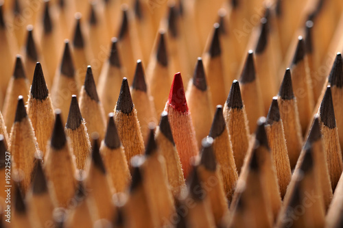 Identical black graphite pencils and one red pencil