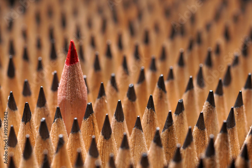 Identical black graphite pencils and one red pencil