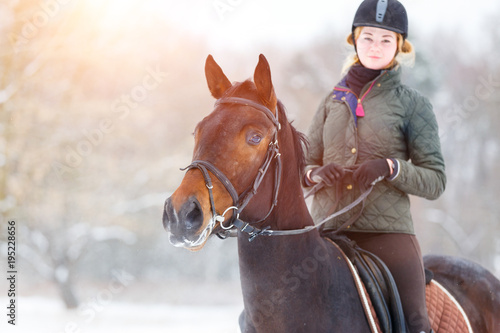 Young happy woman riding her bay horse on winter field. Winter equestrian activity background