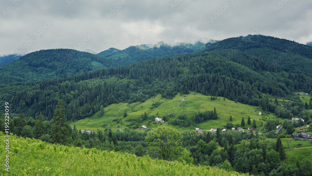 forested rolling hill on a cloudy day. lovely nature scenery of mountainous countryside. forested rolling hill on a cloudy day. lovely nature scenery of mountainous countryside.