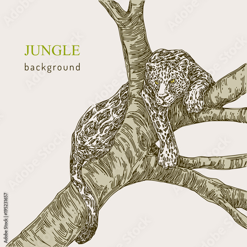 Beautiful background. Leopard resting on old tree. Vintage style. Vector illustration.