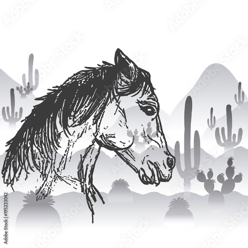 horse in the desert