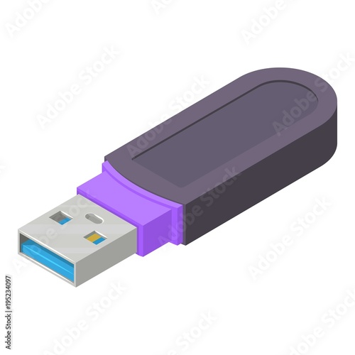 Digital flash drive icon, isometric style