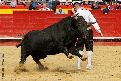 toros en españa