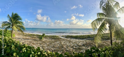 Panoramic view of the beautiful idyllic Welches Beach in Oistins, Barbados (Caribbean island) with unspoilt nature, palm trees, white sand and a picturesque turquoise ocean with waves on a sunny day	