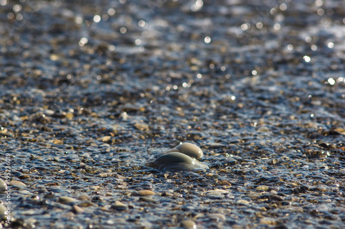 pebble stones on the sea beach, the rolling waves of the sea with foam