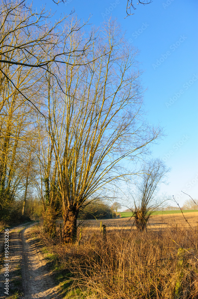 Flemisch Country Road