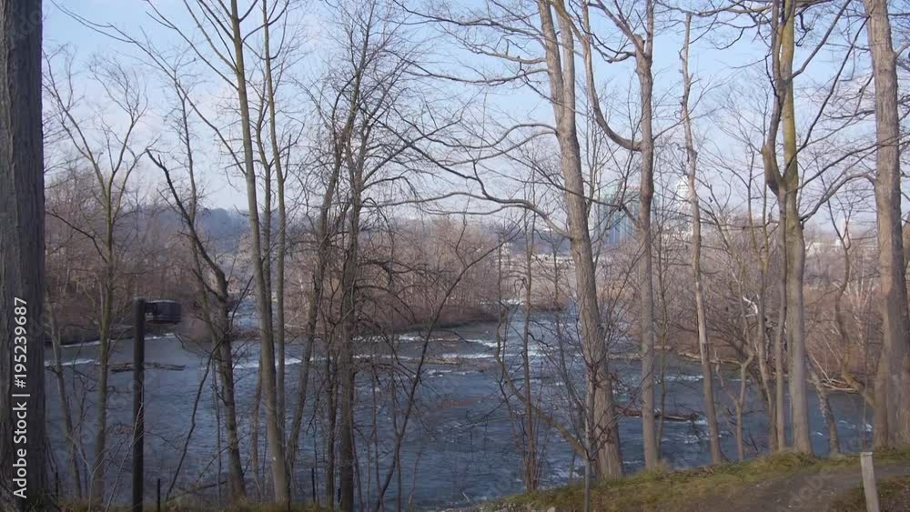 Dry Trees In Front Of Niagara River - Static Dry Trees In Front Of Niagara River - Static