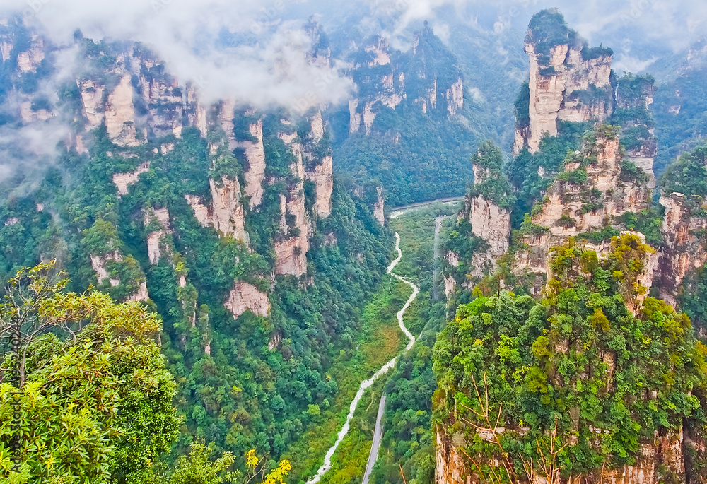 Fototapeta premium spectacular view of unique formation of pillars and valley zhangjiajie hunan china