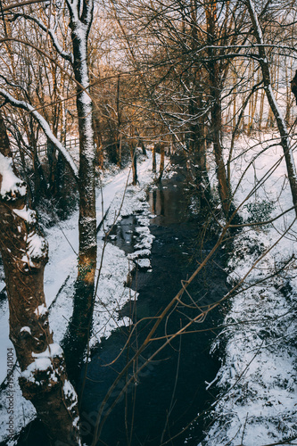 фотографія Rural setting in the village of Carrignavar during Storm Emma, also known as the Beast from the East, which hit Ireland at the start of March: stream surrounded by trees and roads covered in snow