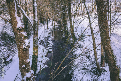 фотографія Rural setting in the village of Carrignavar during Storm Emma, also known as the Beast from the East, which hit Ireland at the start of March: stream surrounded by trees and roads covered in snow