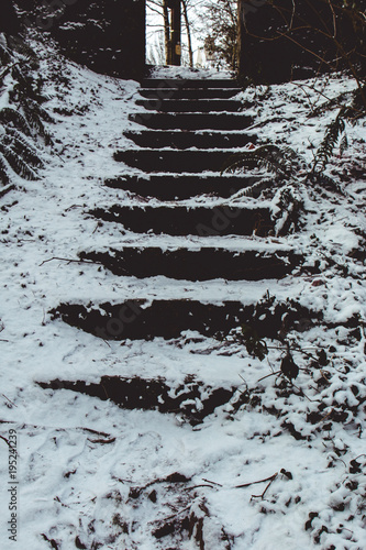 фотографія Rural setting during Storm Emma, also known as the Beast from the East, which hit Ireland at the start of March: detail of steps covered in snow