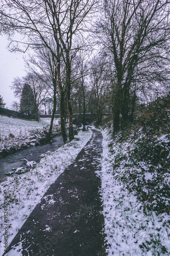 Принти на полотні Rural setting in the village of Carrignavar during Storm Emma, also known as the Beast from the East, which hit Ireland at the start of March: stream surrounded by trees and roads covered in snow