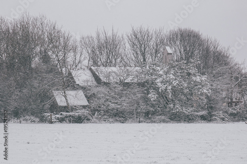 фотографія Rural setting during Storm Emma, also known as the Beast from the East, which hit Ireland at the start of March: house covered in snow