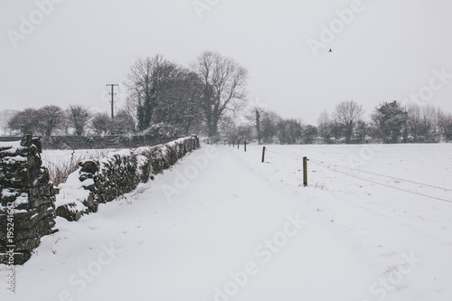 Принти на полотні Very dangerous roads in the peak of Storm Emma which hit Ireland at the start of March: no tire markings on the roads, no one traveling during red weather warning