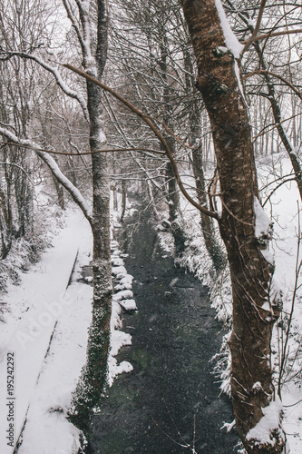фотографія Rural setting in the village of Carrignavar during Storm Emma, also known as the Beast from the East, which hit Ireland at the start of March: stream surrounded by trees and roads covered in snow