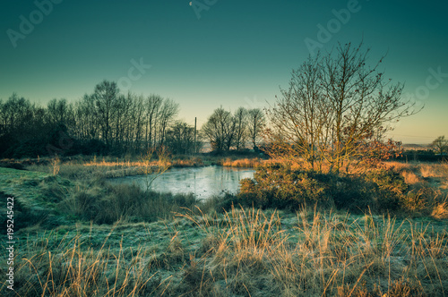 Murais de parede Golden dawn light breaks on a frozen pond on Wetley Moor, Staffordshire