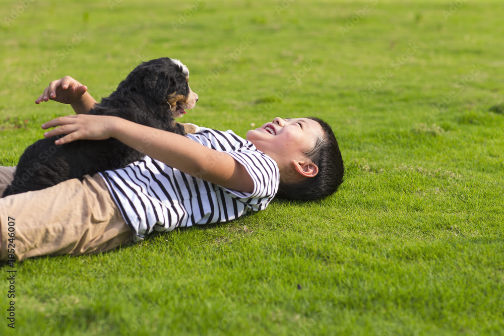 One little asian boy playing with his Bernese Mountain Dog outdoor in the lawn at sunny summer afternoon One little asian boy playing with his Bernese Mountain Dog outdoor in the lawn at sunny summer afternoon