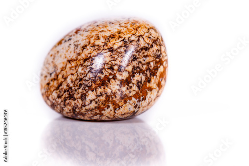 Macro mineral rock jasper landscape sandy on white background photo