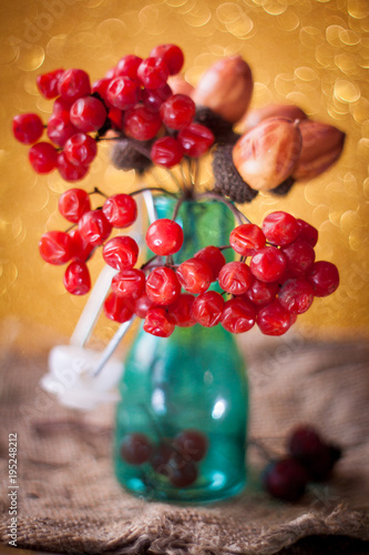 Ripe bunch of red viburnum on a beautiful bokeh background rustic style still life on a table Viburnum kalina red berries close up