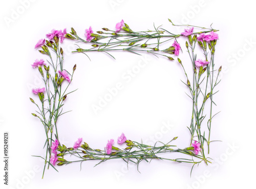 Frame of delicate flowers. Spring pink flowers on white background. View from above, flat lay, top view
