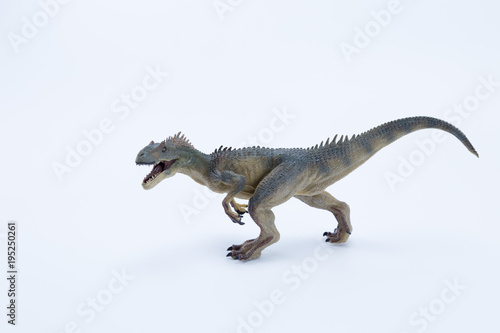 Allosaurus dinosaur roaring and in attack position with white background © LuXpics
