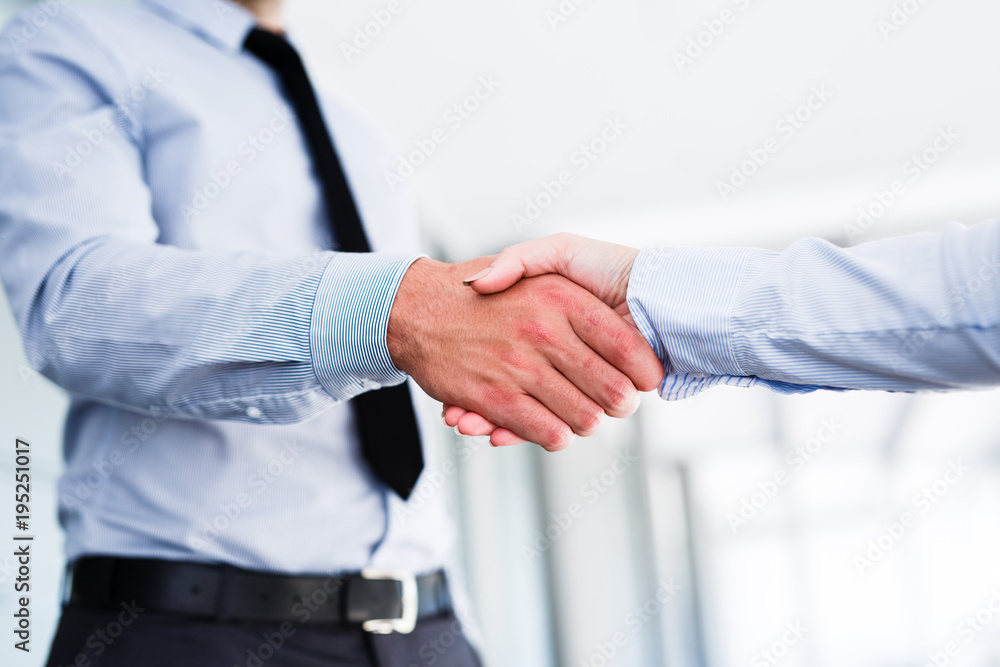 Young colleagues shake hands after a successful job Young colleagues shake hands after a successful job