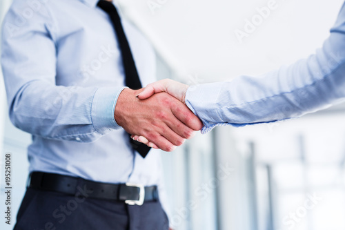 Young colleagues shake hands after a successful job