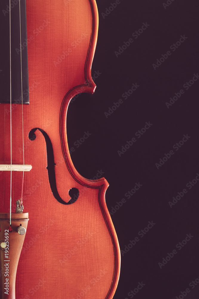 Fototapeta Violin On Black Background