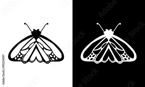 Schmetterling Vektor