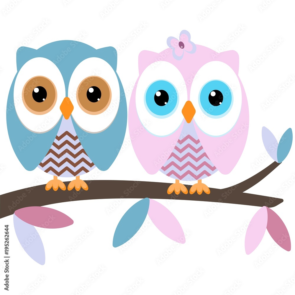 two owls on a branch two owls on a branch
