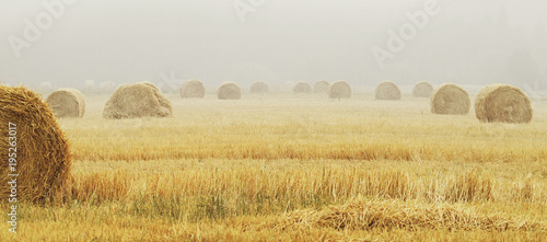Vászonkép field with haystacks