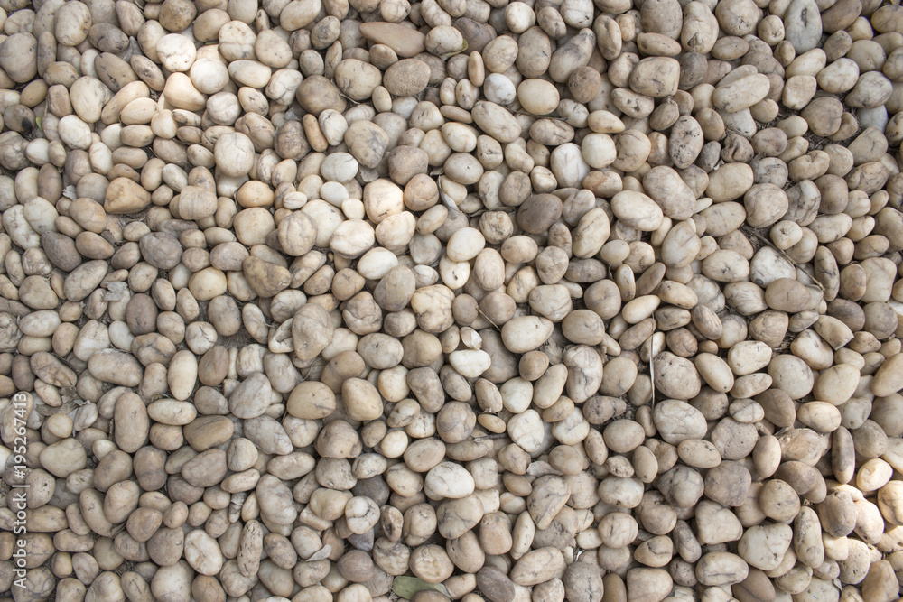 Coarse grained pebble stones. stones floor texture background. White and brown in the garden or park. Coarse grained pebble stones. stones floor texture background. White and brown in the garden or park.