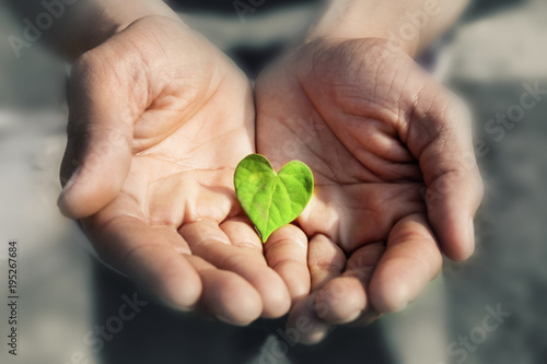 Hand holding Heart Shape Green Leaf,  Earth day concept
