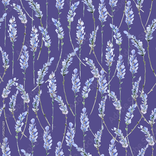 Fototapeta Watercolor realistic illustration. Floral seamless pattern. Prov