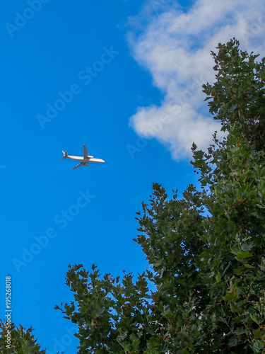 airplane flying over green trees