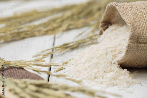 Rice and poured from sack  with yellow rice plant on wooden background.