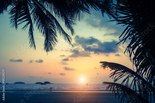 Sunset on the tropical sea beach with silhouette of palm leaves.