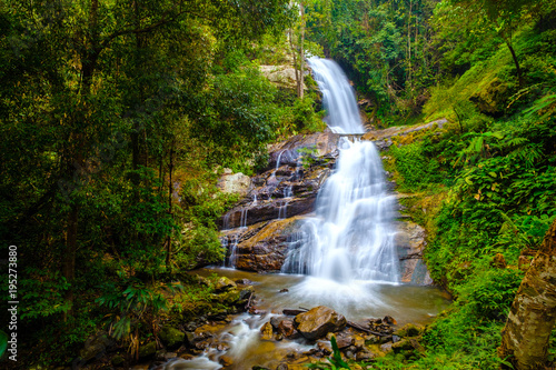 Water fall scenery wildlife at Doi Inthanon  Chiang Mai Province  Thailand