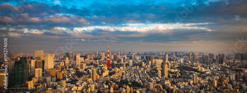 Photography Tokyo aerial panoramic view