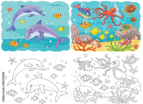 Cute sea animals. Ocean. Coloring book. Coloring page. Funny cartoon characters