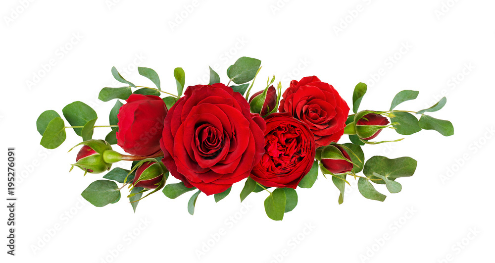 Fototapeta premium Czerwone kwiaty róży z liśćmi eukaliptusa w układzie linii