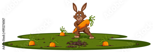 Bunny and carrot garden