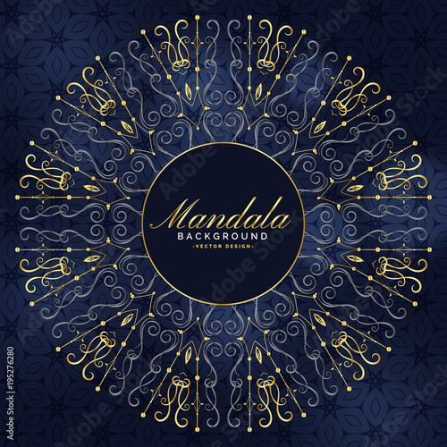 stylish mandala art in premium design