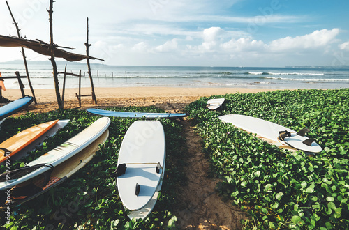 Photography Surfboards are on the beach at erly morning time on the surf point in Sri Lanka