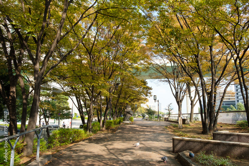大阪堂島の遊歩道