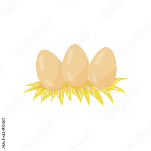 Three chicken eggs lying in hay nest. Organic farm product. Concept of poultry breeding. Agriculture theme. Cartoon flat vector illustration