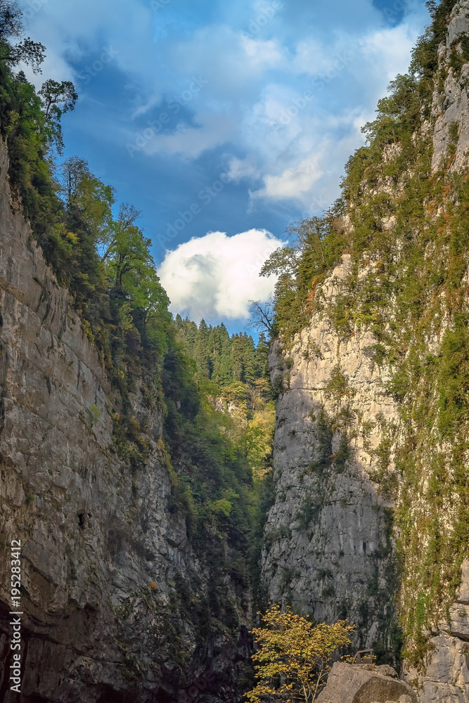 Narrow gorge in the Ypshar canyon. The Republic of Abkhazia.