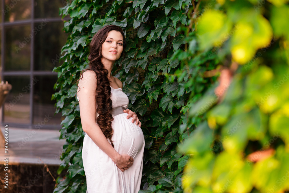 A pregnant woman in a white dress hugs her stomach and smiles in the park, the sun shines and the green grass. Concept of a happy woman and motherhood. A pregnant woman in a white dress hugs her stomach and smiles in the park, the sun shines and the green grass. Concept of a happy woman and motherhood.