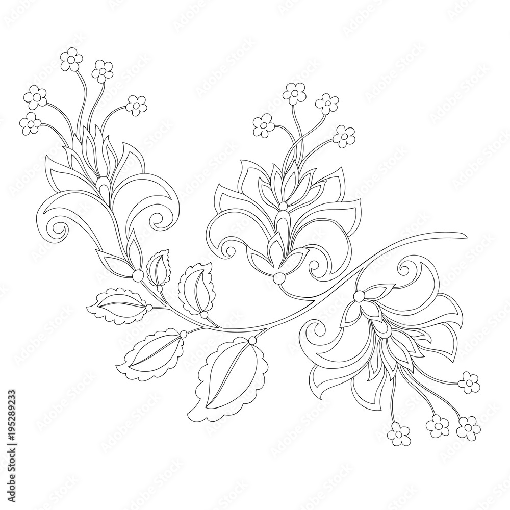 contour of fantasy flower contour of fantasy flower